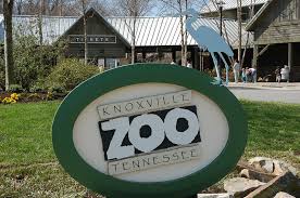 KristenOGallant's tweet photo. It's happening @zooknoxville #MissAmericaServes #TN #MissMusicRow https://t.co/Z9Pmp1qq0X