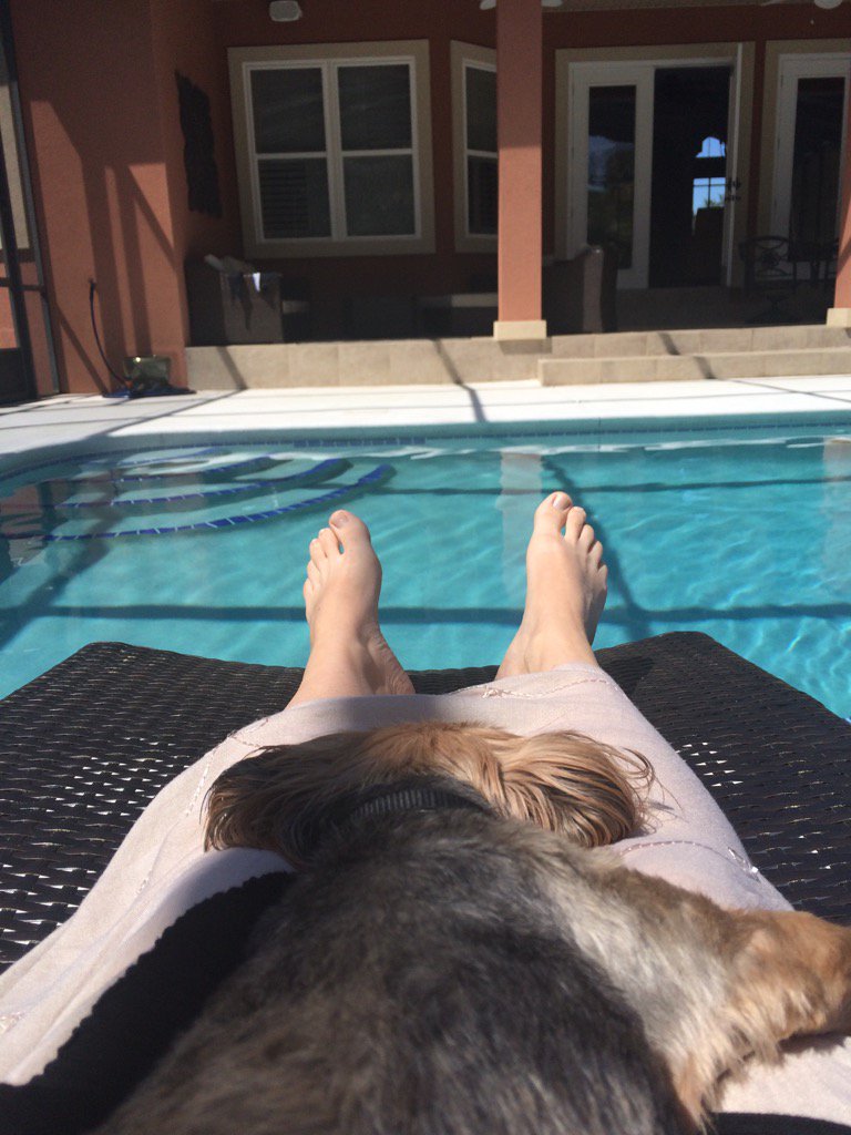 SherrieMusic's tweet photo. Back home after a lovely vacation! BItsy was so stressed was good to see her relax #footdiary #prepedidontjudge https://t.co/QwtfVxtztr