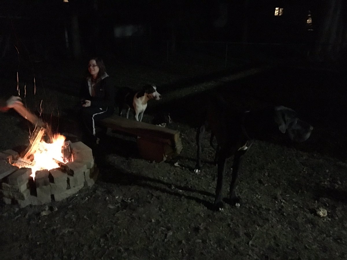 APrettyGoodDane's tweet photo. Having a fire #where'sIzzy? #needaLog https://t.co/13YSkv6w4f