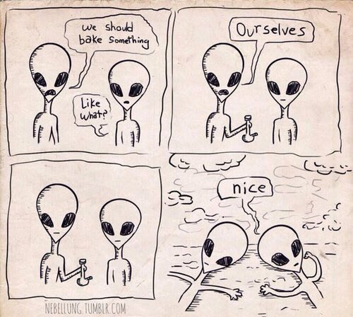 alienoutfitters's tweet photo. It's always an option. 👽🌿💨 https://t.co/RxPI7cSJZ0