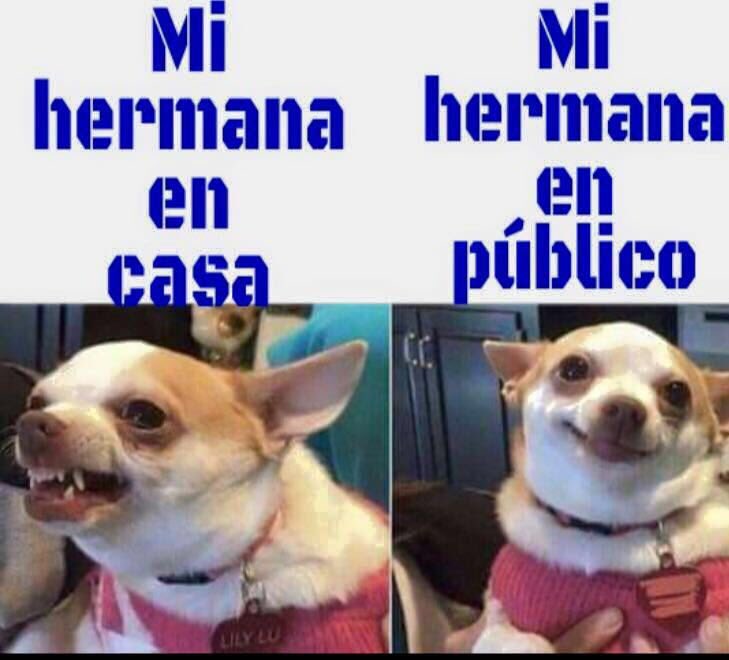 jorge_bertin's tweet photo. @strawmu tu https://t.co/mWax9Jkiw2