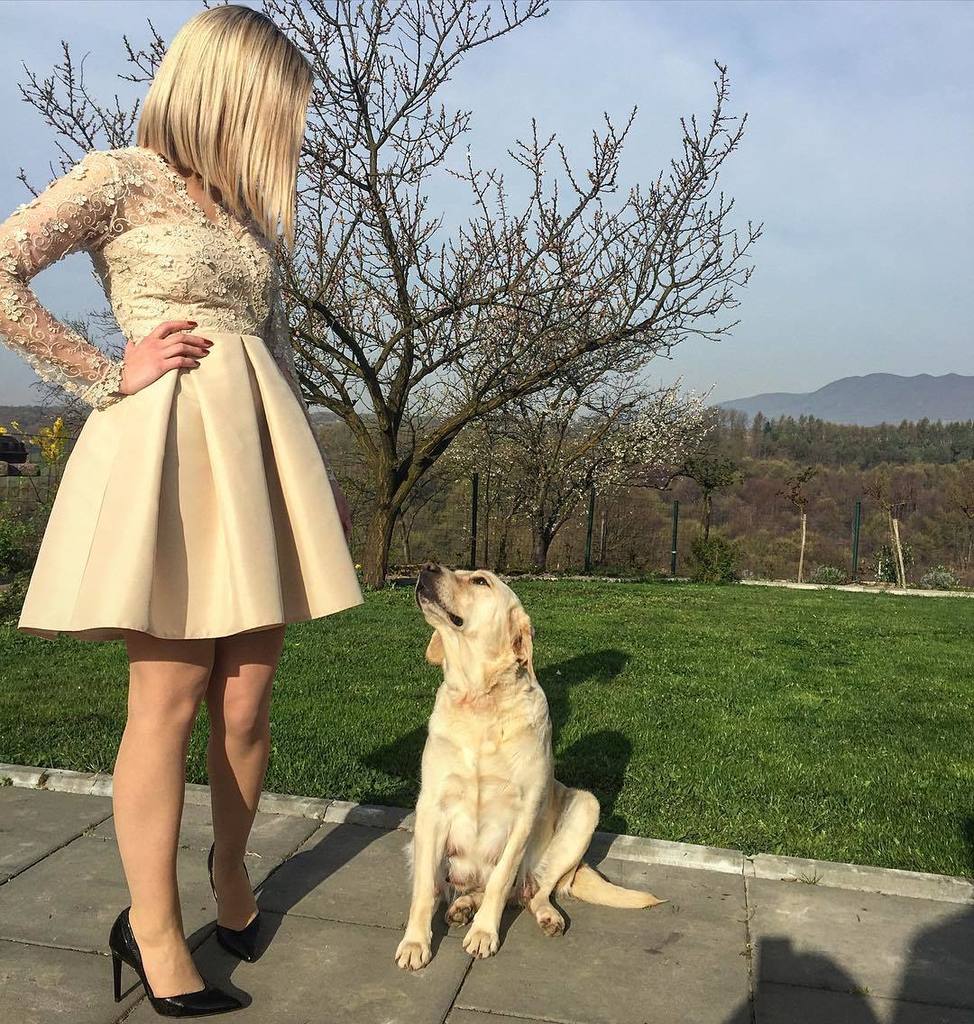 JackyMMontes's tweet image. 🐶💕📷🐾👀 #gledamose #matchingoutfit #samecolors #lovemydog #whitelabrador