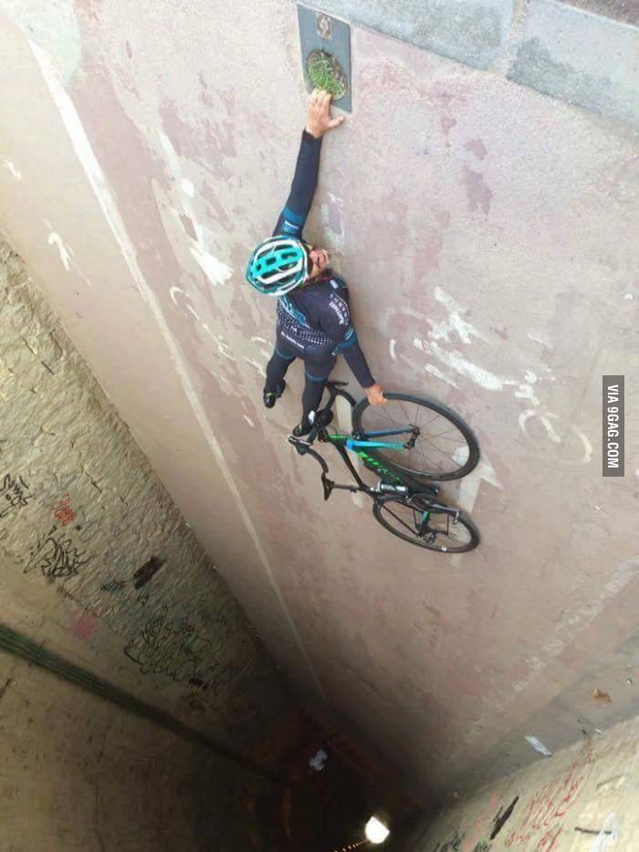 9GAG's tweet photo. Perspective is everything 
https://t.co/ovCPoTJROH https://t.co/k95kgxOeMU