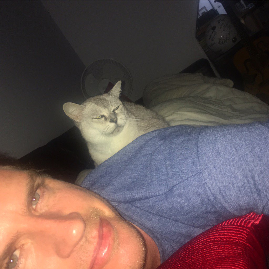 MrSamMac's tweet photo. Coco doesn't get on my back about taking afternoon naps, she gets on my back WHILST taking afternoon naps. #ProSleep https://t.co/ceETNew0Fc