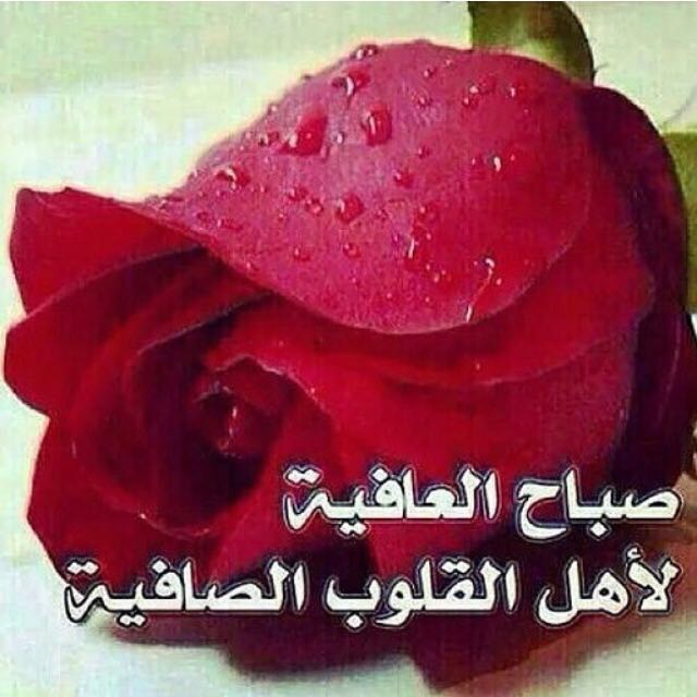 عا ئشة الجنوبية (@aalshhrany201) on Twitter photo 