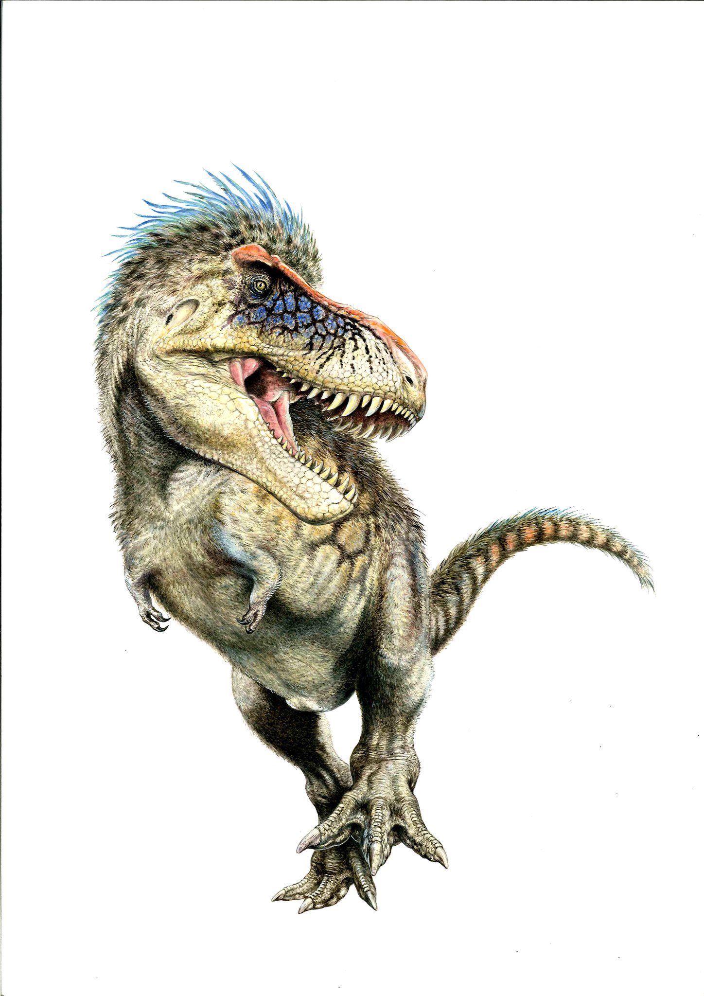 ニ*ノ様 原画 キャンバス C-REX 抽象画 恐竜 #146（複製画S 児島