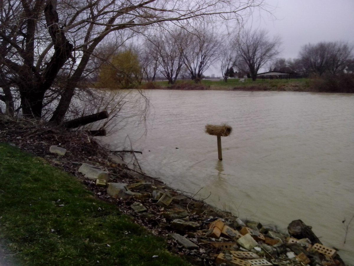 ChaseAitken's tweet photo. @DaveandChuck I put up a new duck house by your home town Chuck #chuckthefreakhunting #howshegoingEH #isthesafetyon https://t.co/VxSl1m12vW