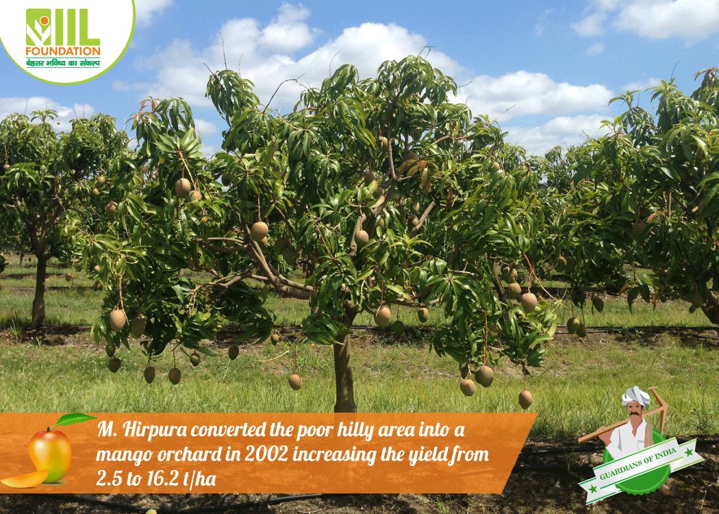 IIL_Foundation's tweet image. All it takes dedication and a lot of hardwork to change the fields into farms. #GuardiansOfIndia