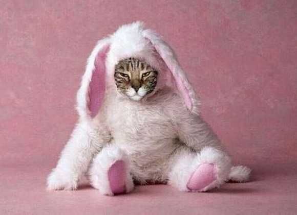 animalsx_x's tweet photo. Help... get me out of here https://t.co/uhNB9UjVxe