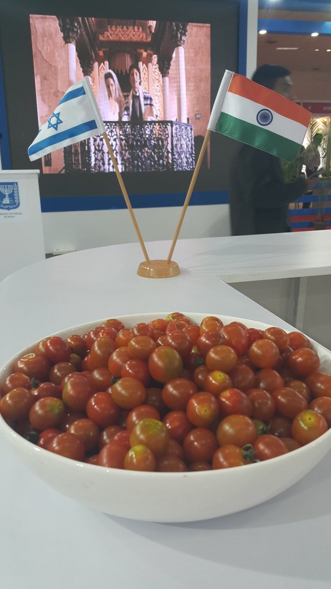 AssafMoran's tweet photo. Cherry tomatos - an #Israeli patent, grown today also in #India, now in water week #innovation is #ClearlyIsrael! https://t.co/8yh960GNTf