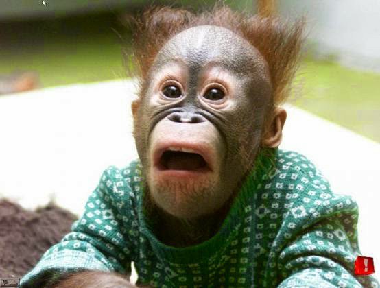 Unfold's tweet photo. My face. When you mention me in tweets by using @ Unfold while I've never seen or spoken to you before. #business https://t.co/Qxpo1XxIjH