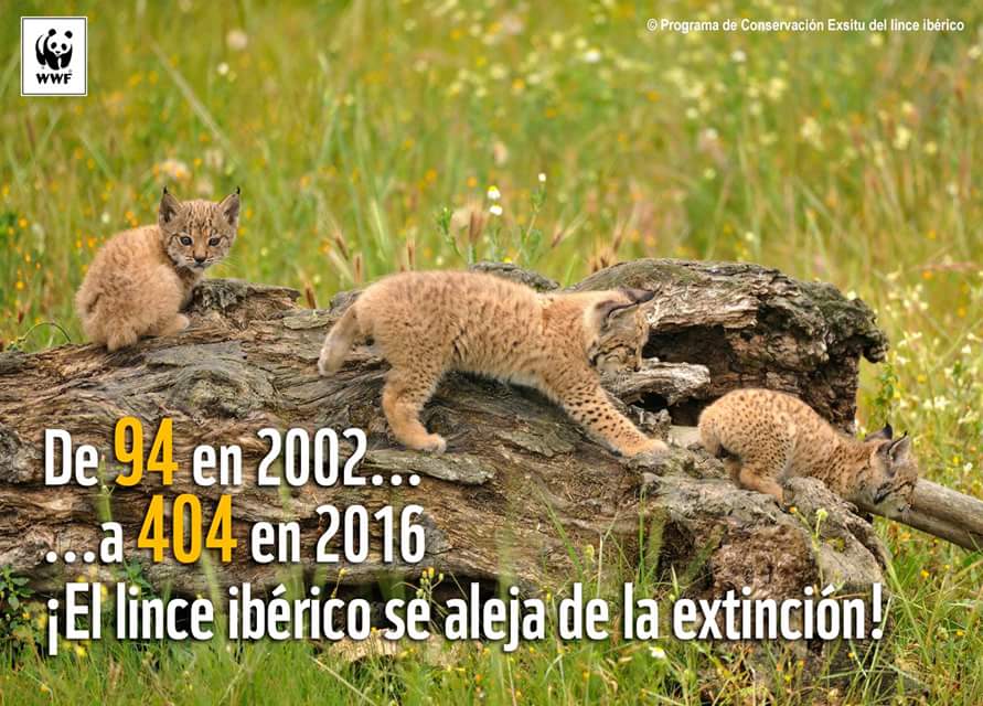 judithmojeda's tweet photo. Noticia esperanzadora. Si la sociedad se propone algo puede conseguirlo, querer es poder. Gran trabajo @WWFespana https://t.co/yKWrIcKgQ2