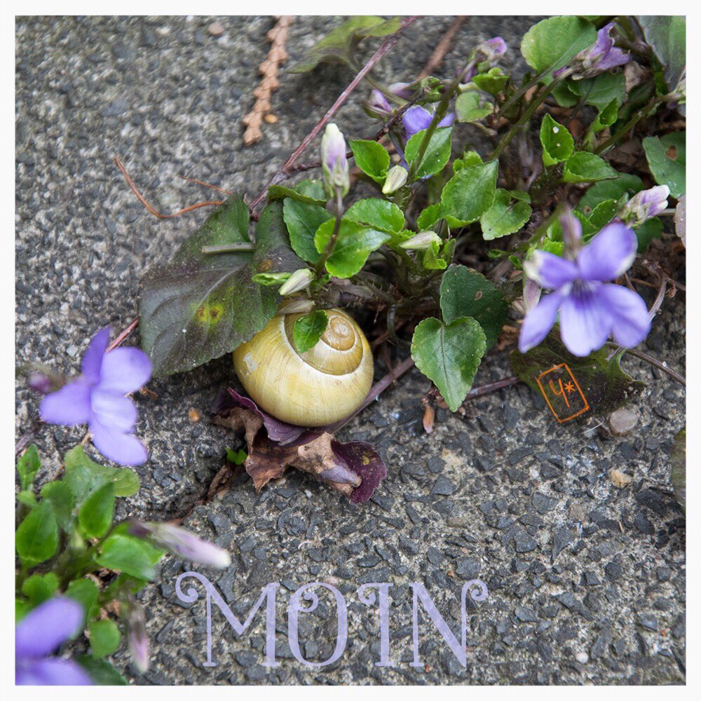 YBeeit's tweet image. Moin! Have a beautiful tuesday! #vanitas #tuesday #complementarycolours