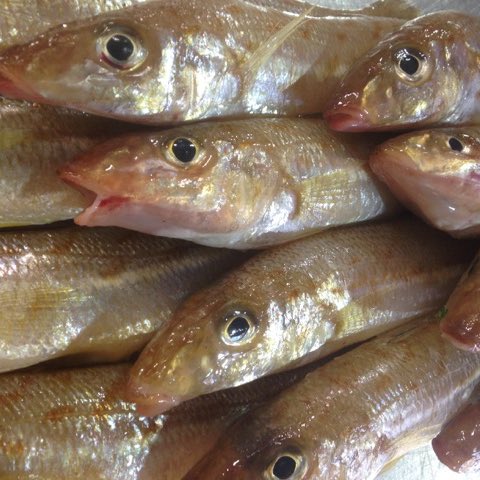 LEFCOL's tweet image. INTRODUCING LAKES ENTRANCE TEMPURA BATTERED WHITING FILLETS!! Order yours today 😆👍🏻 PFD CODE 214277 @PFDFoodsVIC