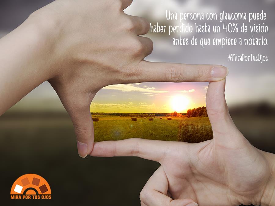 ELVIADRA's tweet photo. El ladrón silencioso de la vista - https://t.co/y0Xa6FfMln https://t.co/F60Zm969c7