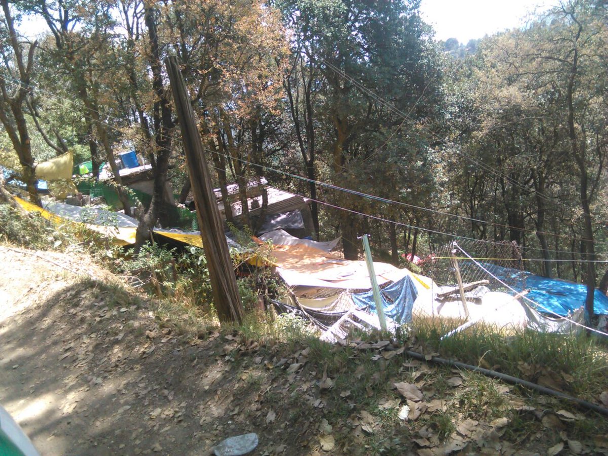 TeT_MContreras's tweet photo. Recorrido de vigilancia y prevención contra el crecimiento de la mancha urbana en la ladera de Sayula @Fer_MercadoG https://t.co/IgmGyZMnN7