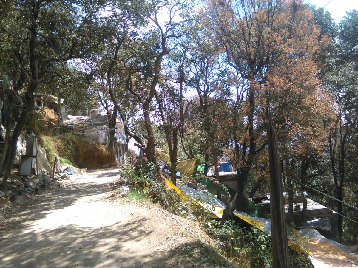 TeT_MContreras's tweet photo. Recorrido de vigilancia y prevención contra el crecimiento de la mancha urbana en la ladera de Sayula @Fer_MercadoG https://t.co/IgmGyZMnN7