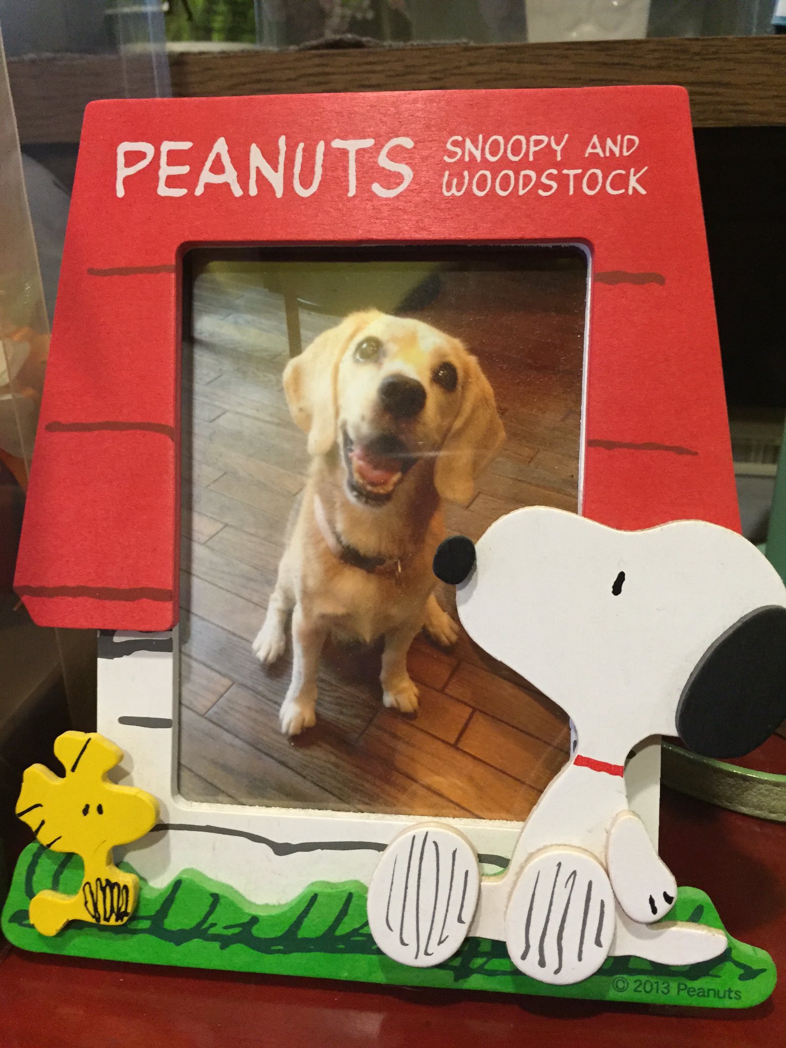 キキワン C100 土曜日 ぱるぱる通信局 西け 02b 日曜コスホリe7 8 代々木上原 にある ティールームビーグルに行ってきました ᐥᐜᐥ ᐝ看板犬のアロエちゃんが可愛すぎる そして 紅茶もスコーンもとっても美味しかったです 幸せ空間ପ ˊᵕˋ ଓ