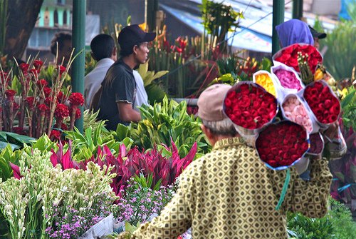 checkinjkt's tweet photo. Mengintip surga bunga di Pasar Bunga Rawa Belong https://t.co/EAjsntgx32. #CheckInJakarta #Jakarta #Indonesia. https://t.co/rBMuGvUbYj