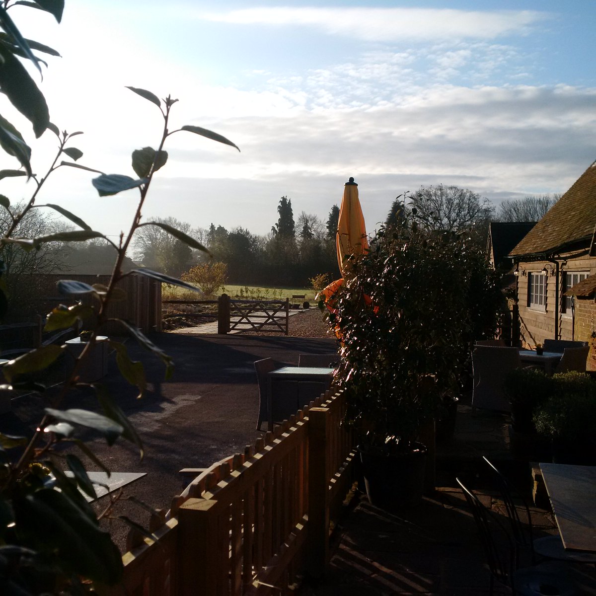 Morning is happening.