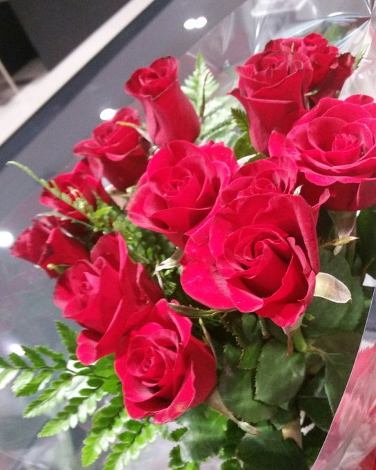 More flowers 😆💋❤ AHHHHH #LEILASCOTT #PLAYBOY #PLAYMATE #HAPPY #GIRL https://t.co/hI7NyFcN6F<a href="/tag/leilascott"class="tags">#LEILASCOTT</a><a href="/tag/playboy"class="tags">#PLAYBOY</a><a href="/tag/playmate"class="tags">#PLAYMATE</a><a href="/tag/girl"class="tags"><span>#girl</span></a><a href="/tag/happy"class="tags"><span>#happy</span></a>