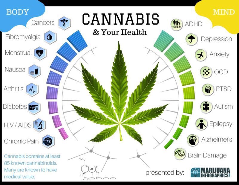 Ediblesafrica's tweet photo. #Edibles #weed #Cannabis. Looking forward to supplying in #SouthAfrica #ZA https://t.co/Y7RgOmxido