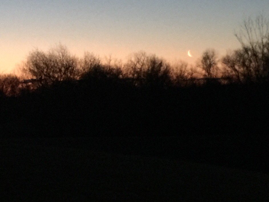 PRHS Humanities tweet media