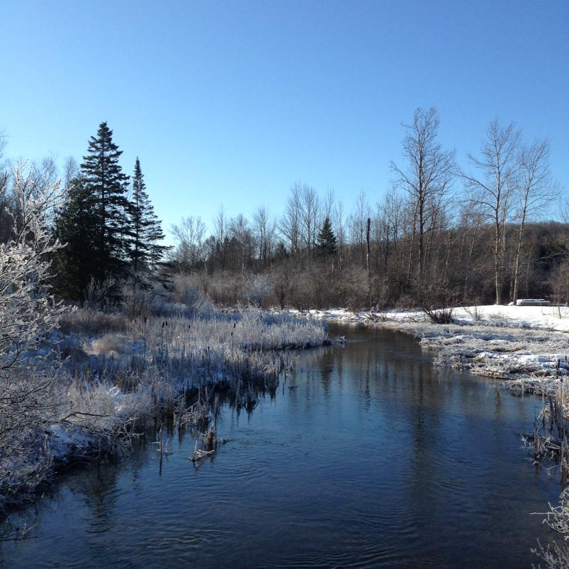 #ice on the river.