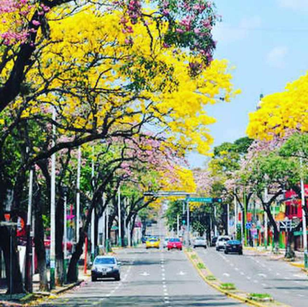 "Bienvenidos <a href="/PecomMexico/">PECOM MEXICO</a> a la ruta del cacao, museo la venta, #Tapijulapa, Zona Luz y @YUMKA_ANP <a href="/Turismo_Tabasco/">Secretaria de Turismo y Desarrollo Económico</a>