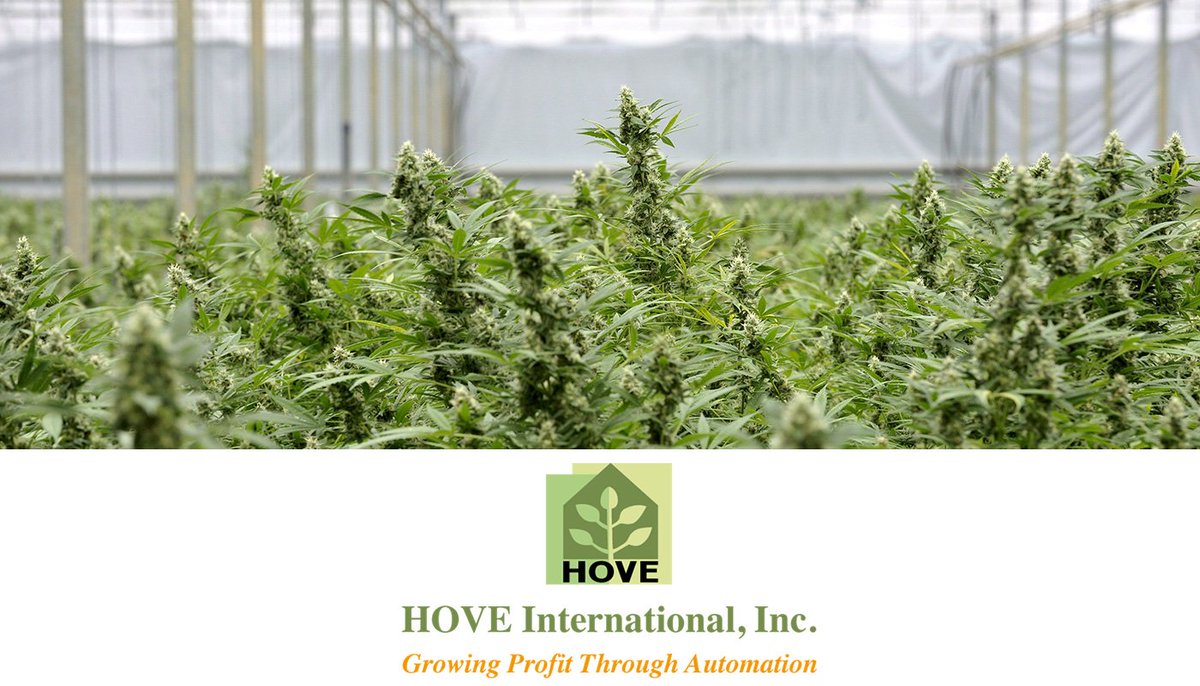 HOVEInt's tweet image. hoveintl.com/news/58-cannab…
#cannabis #legalization #bill241 #HoveIntl