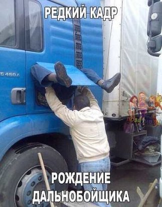 Татьяна К (@k_kichint) on Twitter photo 