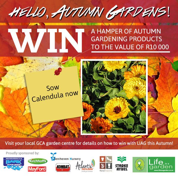 For more details on how to win with Life is a Garden, check out our Facebook page! :) ow.ly/ZAH0h