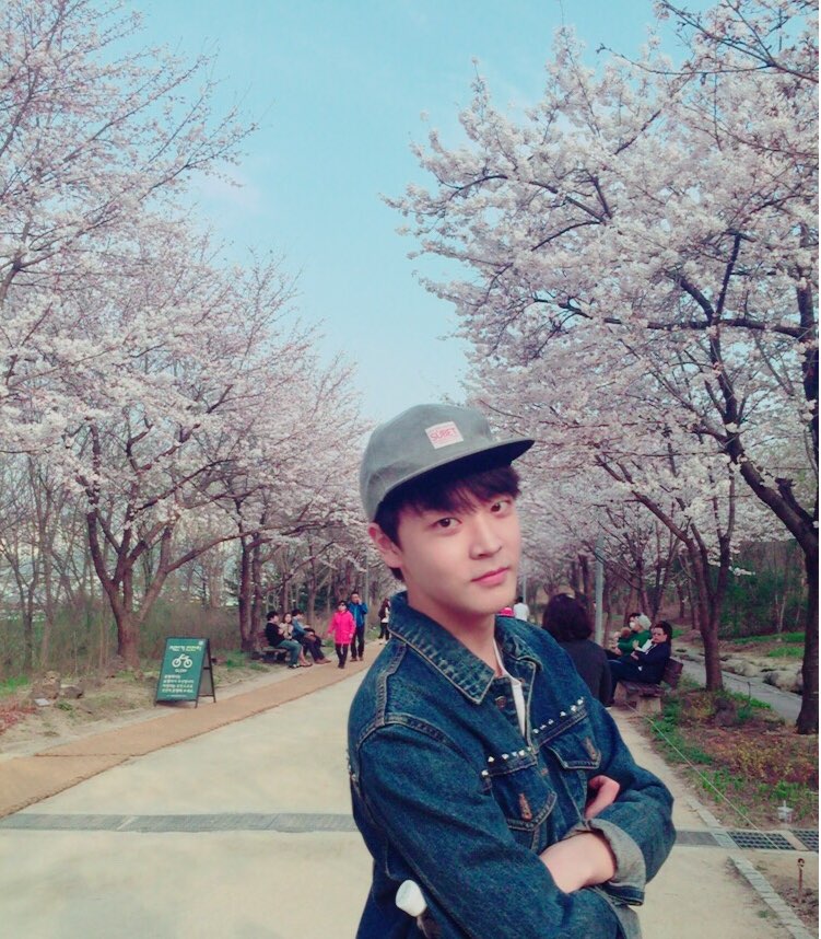 JACETORY's tweet photo. [#BandJACE #밴드제이스]이번주 일요일 오후 1시 여의도 ‘국회도서관 봄꽃음악회’ 버스킹존에서 밴드 제이스가 버스킹을 합니다!! 이번 주말 여의도에서 벚꽃도 보고! 제이스도 보고! 많이 많이 와주세요! https://t.co/2GhsoE5QDs