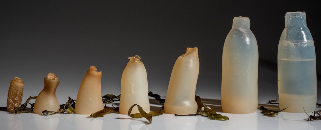 AstheimerUK's tweet photo. An Icelandic product design student has created a biodegradable bottle made from algae. https://t.co/cSyiQLdjGu https://t.co/1NMOwm5gpw