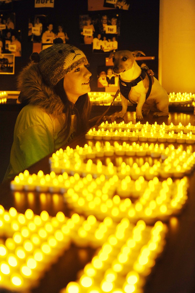 PietaHouse's tweet photo. They say it's a dog's life and your friendly mutts are very welcome at #DIL2016 once they're kept on a short lead https://t.co/qAWnUercyg