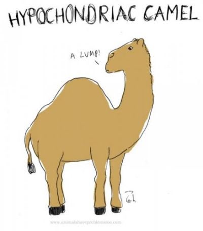 lorikath's tweet photo. @LoElizabeth04 Bit of a hypochondriac camel moment 🙈 #nodrams https://t.co/g6V3buwkfM