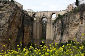 rondawebsite's tweet photo. Primavera bajo El Tajo de Ronda - #Ronda #Málaga #Andalucía #puentenuevo #eltajoderonda https://t.co/WAwMHUyRSa