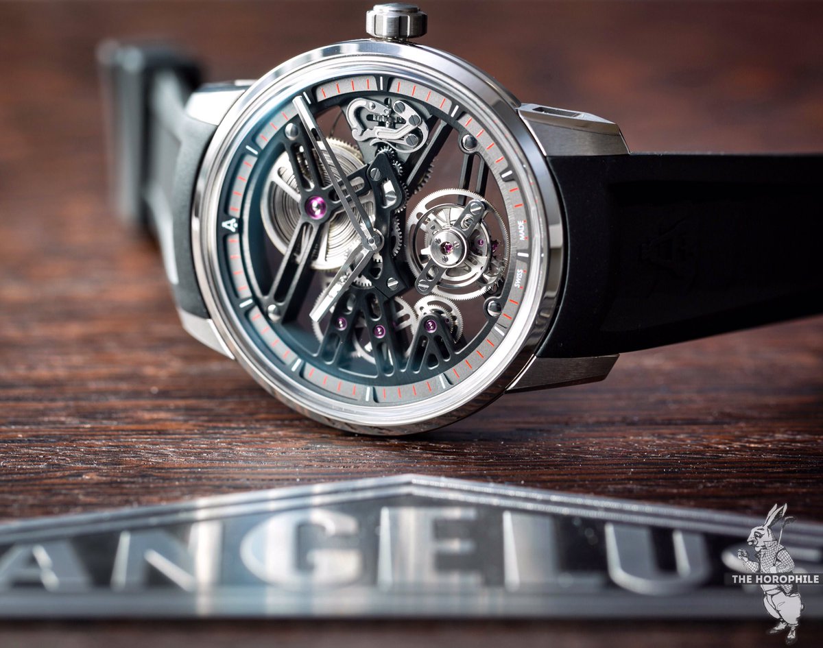 Angelus tweet media