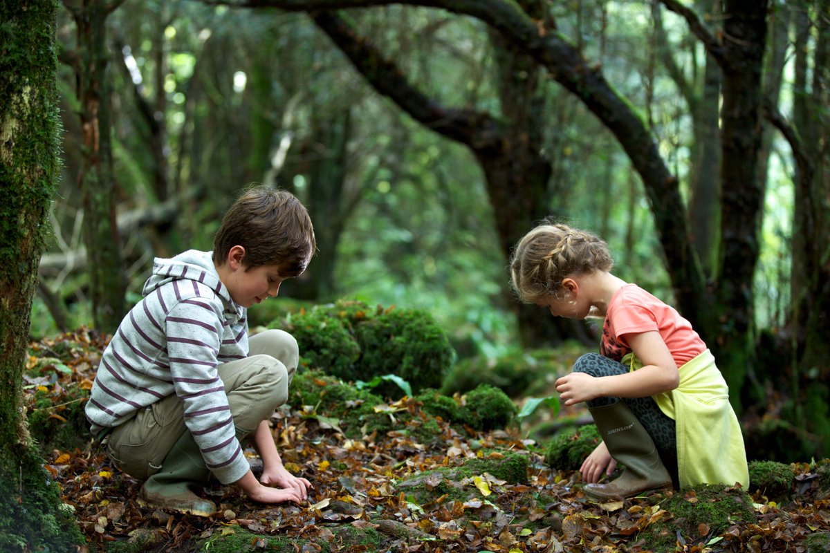 ForestryEngland's tweet photo. Complete our survey on exploring the forest with children for a chance to win £100 vouchers: https://t.co/oYs11pAbHb https://t.co/ih1Tik0KCm