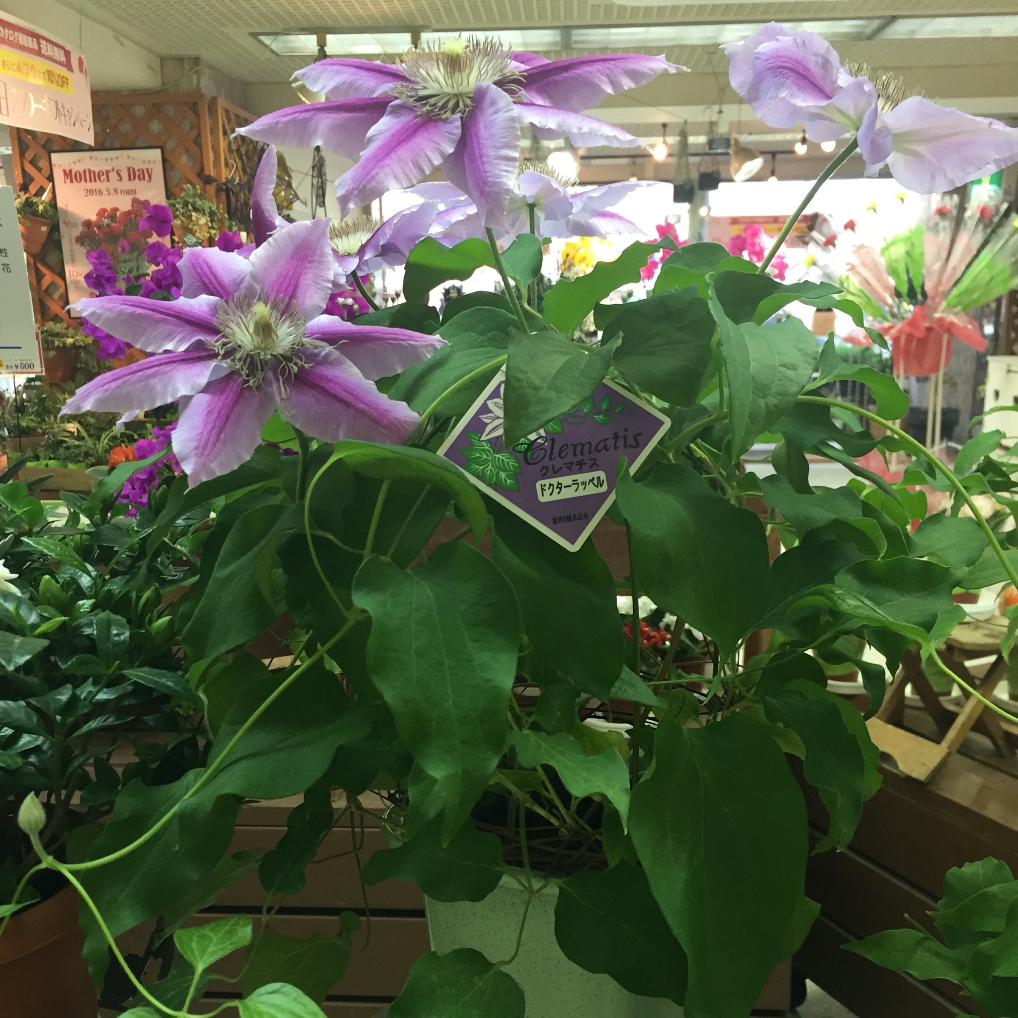 花工場 Flowerfactory Twitter