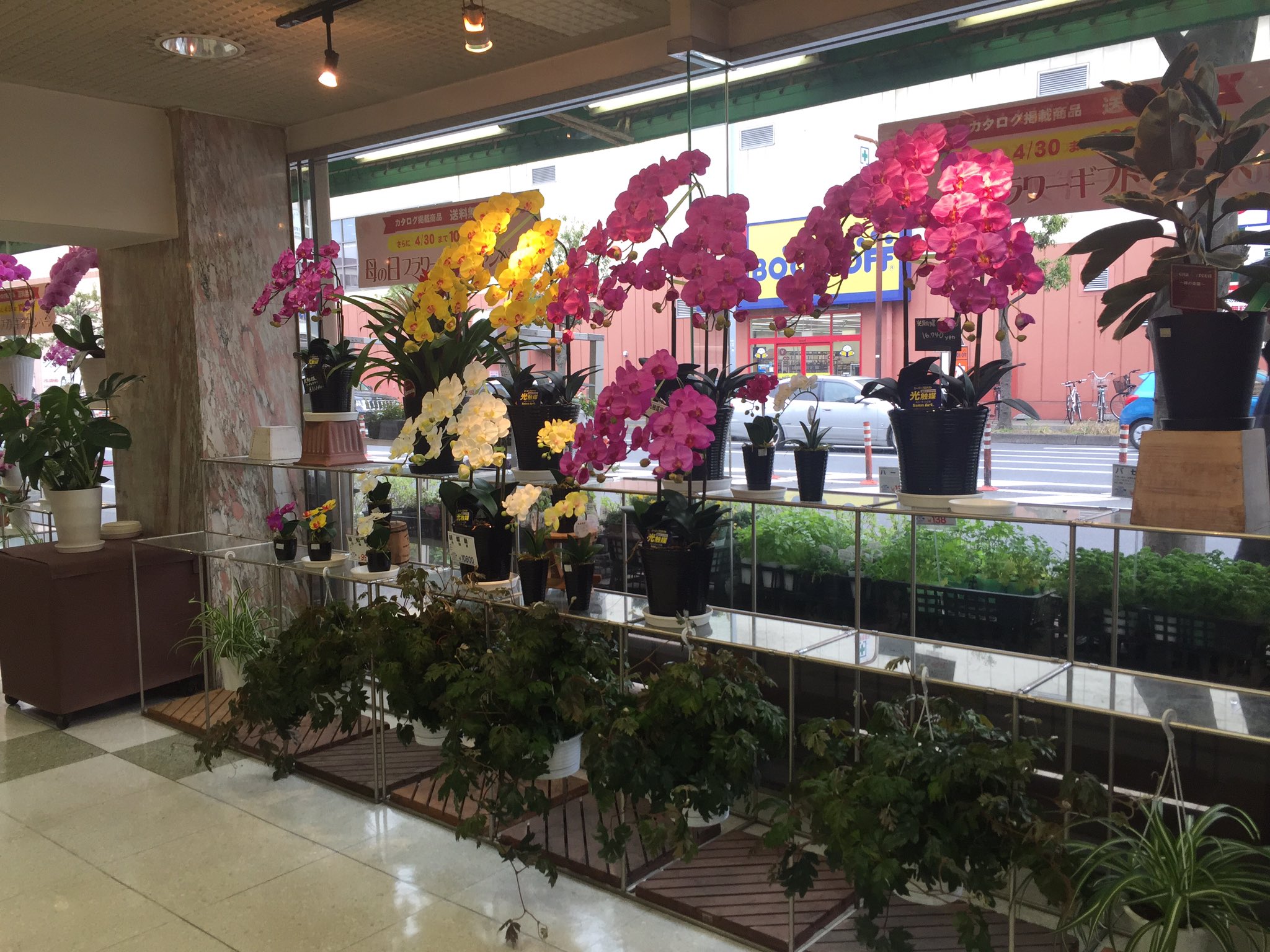 花工場 Flowerfactory Twitter