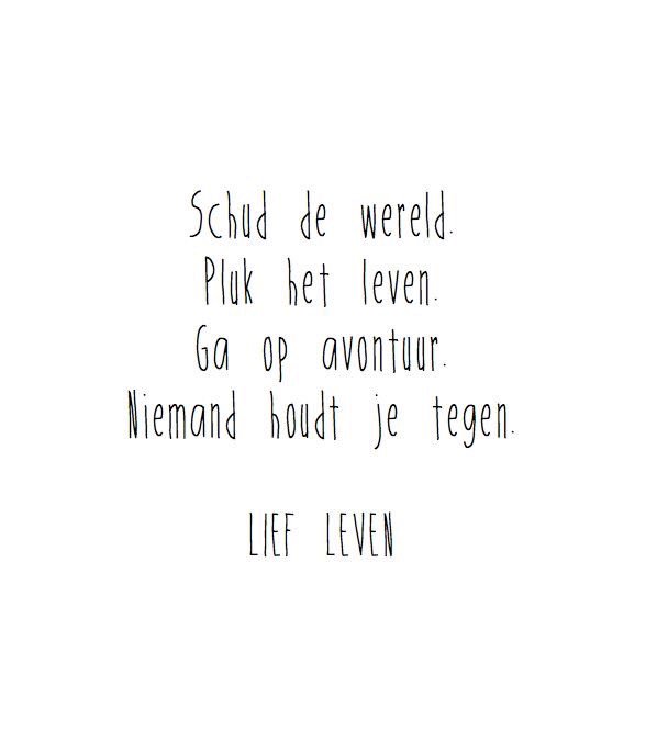 Cosiesnl's tweet photo. Geniet van het leven #avontuur #carpediem #memoriesmatter #cosies https://t.co/Sl9ZyOCONj