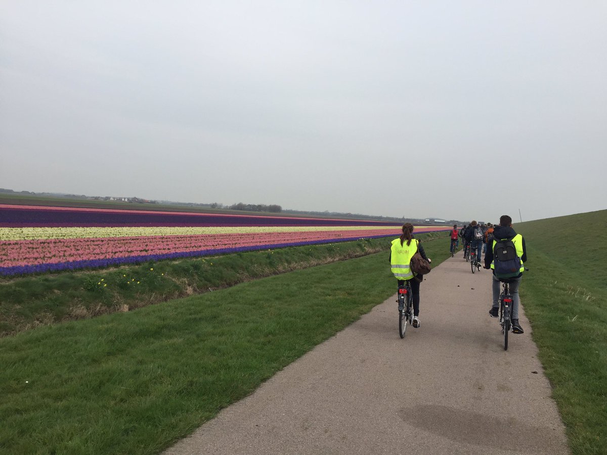 meneerkant's tweet photo. Langs de bloemetjes #kamptexel @KWCCulemborg https://t.co/MI94XFE7SZ