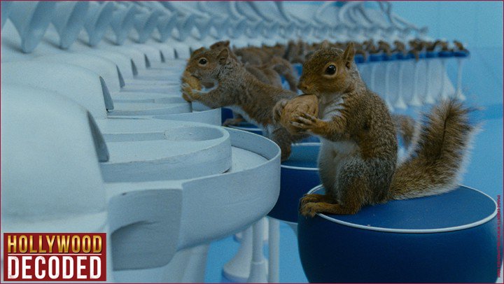 Charlie and the sale chocolate factory squirrels