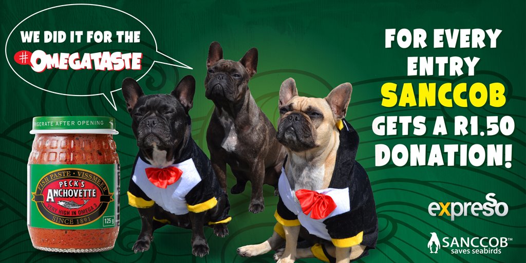 SANCCOB's tweet photo. SEE the Expresso dogs do their thing for the African Penguin on Wednesday with Peckβs Anchovette #OmegaTaste https://t.co/2Dz58qlcWO