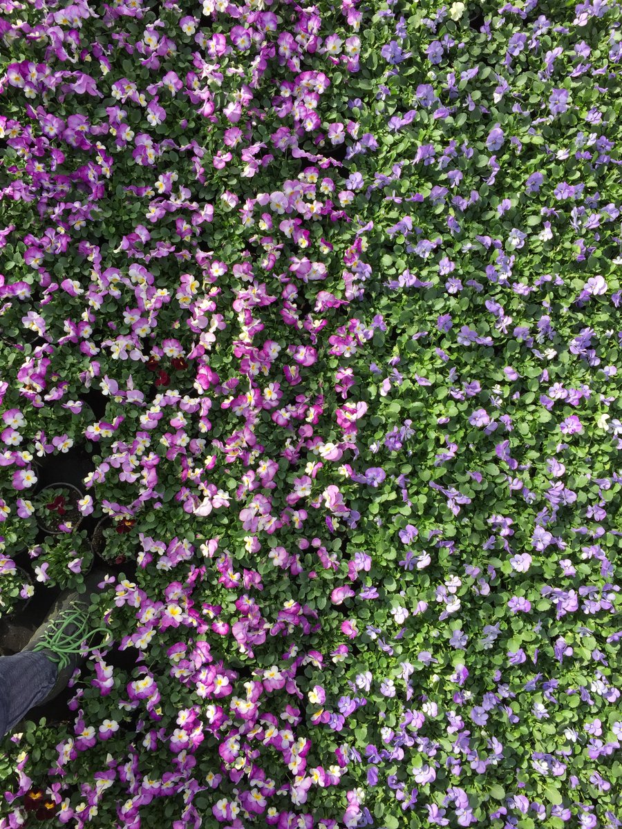 hoop dat morgen is een zonnige dag