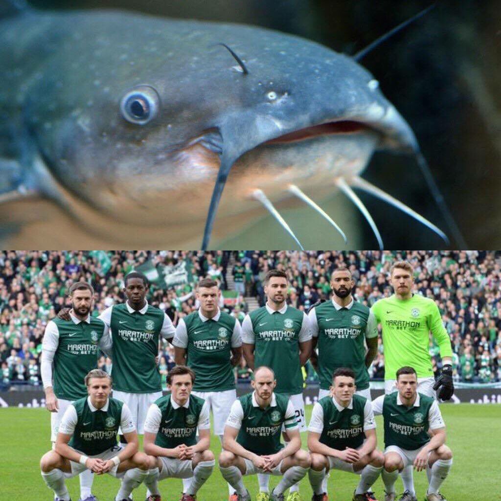 melvvvvkk's tweet photo. Catfish &amp; the bottlemen. https://t.co/dnVKaD8kpE