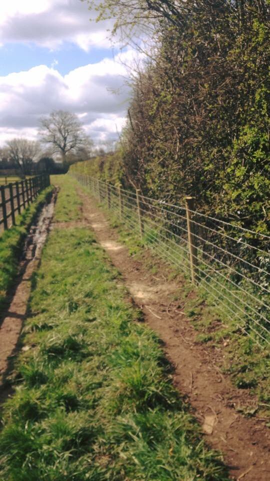 Pinfields tweet media