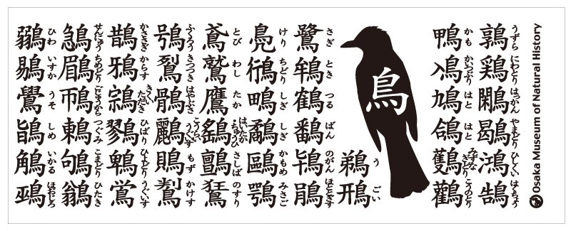 ツク之助 フトアゴ絵本発売中 大阪自然史博物館の鳥へん湯のみ マニアックな漢字がそろっていてかっこいい ネットショップ限定で購入できるんですって T Co Icluvxjxuk ステマ T Co Kxulgtobmz ツク之助 フトアゴ絵本発売中 大阪自然史博物館の鳥へん湯のみ マニアックな漢字がそろっていてかっこいい ネットショップ限定で購入できるんですって T Co Icluvxjxuk ステマ T Co Kxulgtobmz