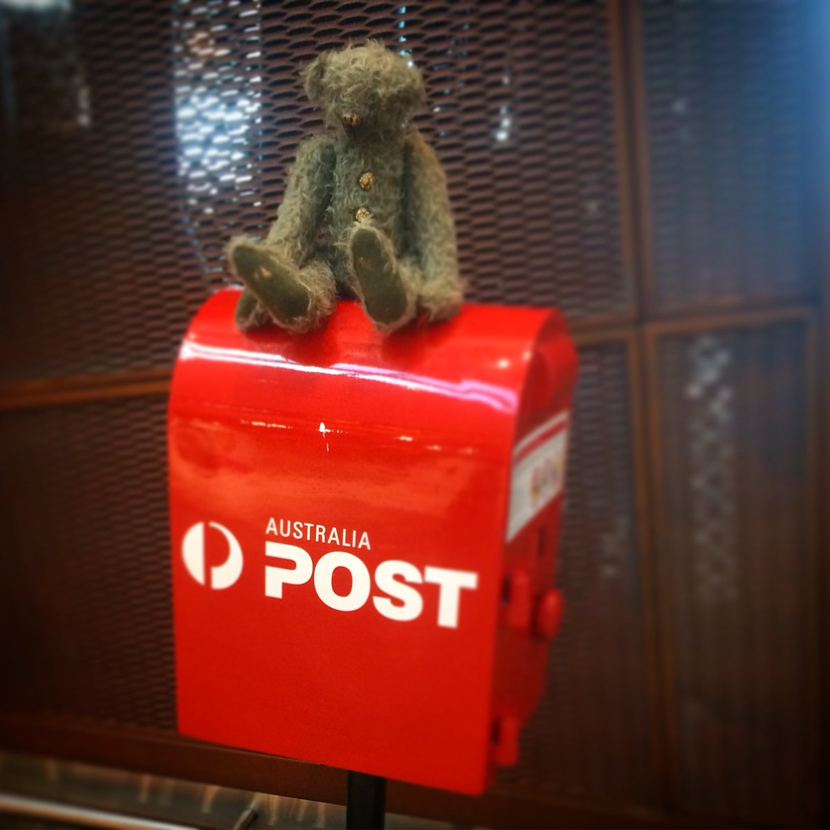 1uglybear's tweet photo. #Uglybear waiting for the postman! 🐻📬 https://t.co/Gz0niLRN4D